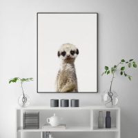 Wall Art - Meerkat - Canvas Prints-Poster Prints