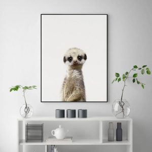Wall Art - Meerkat - Canvas Prints-Poster Prints