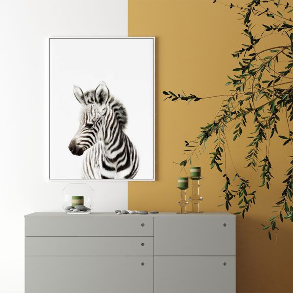 Wall Art - Zebra - Canvas Prints-Poster Prints - Image 2