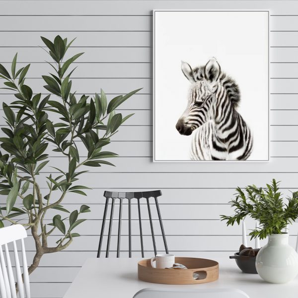 Wall Art - Zebra - Canvas Prints-Poster Prints - Image 3