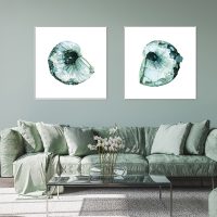 Wall Art - Barnacle 2 sets - Canvas Prints-Poster Prints