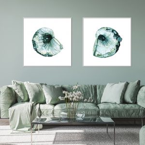 Wall Art - Barnacle 2 sets - Canvas Prints-Poster Prints
