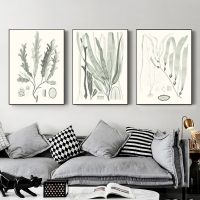 Wall Art  - Sage Green Seaweed 3 Sets - Poster Prints -Canvas Prints - Image 3