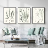 Wall Art  - Sage Green Seaweed 3 Sets - Poster Prints -Canvas Prints
