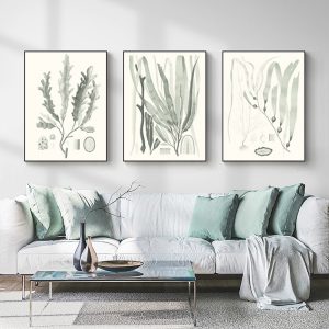 Wall Art  - Sage Green Seaweed 3 Sets - Poster Prints -Canvas Prints