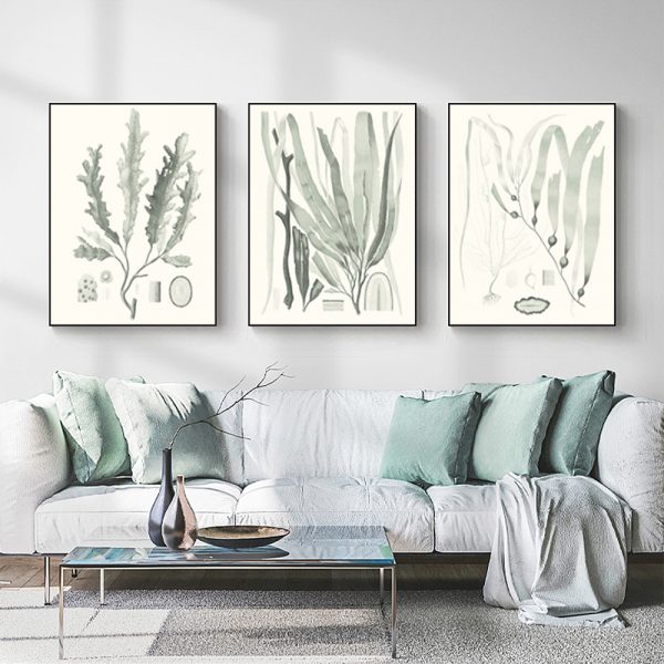 Wall Art  - Sage Green Seaweed 3 Sets - Poster Prints -Canvas Prints