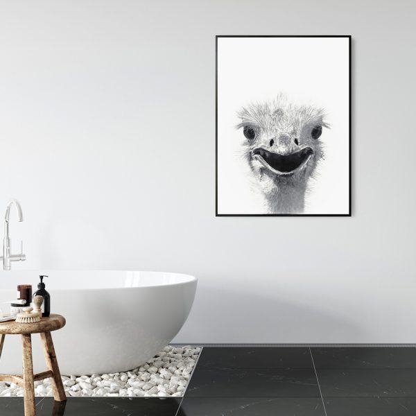 Wall Art - Emu - Canvas Prints-Poster Prints - Image 2