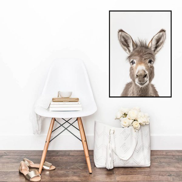 Wall Art - Donkey Baby - Canvas Prints-Poster Prints - Image 2