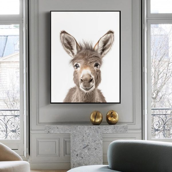 Wall Art - Donkey Baby - Canvas Prints-Poster Prints - Image 3