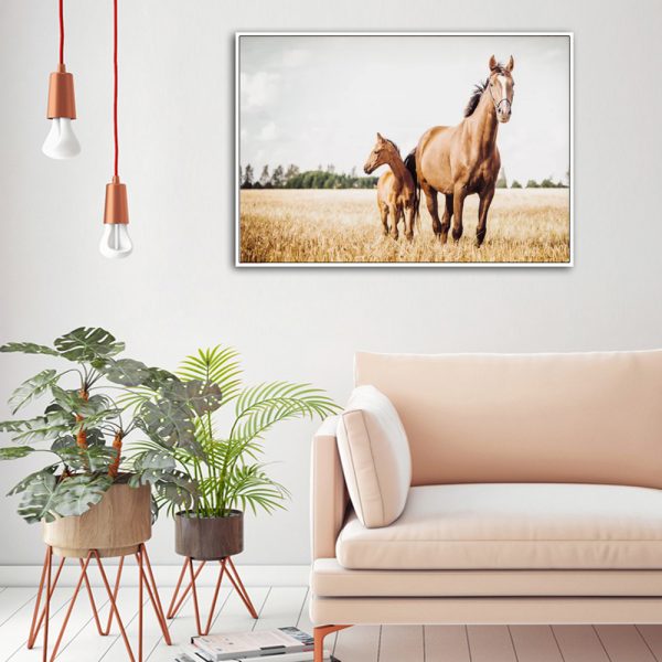 Wall Art - Horses in Field - Canvas Prints-Poster Prints