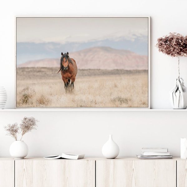 Wall Art - Wild Horse - Canvas Prints-Poster Prints - Image 2