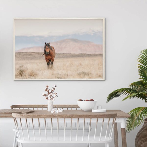 Wall Art - Wild Horse - Canvas Prints-Poster Prints