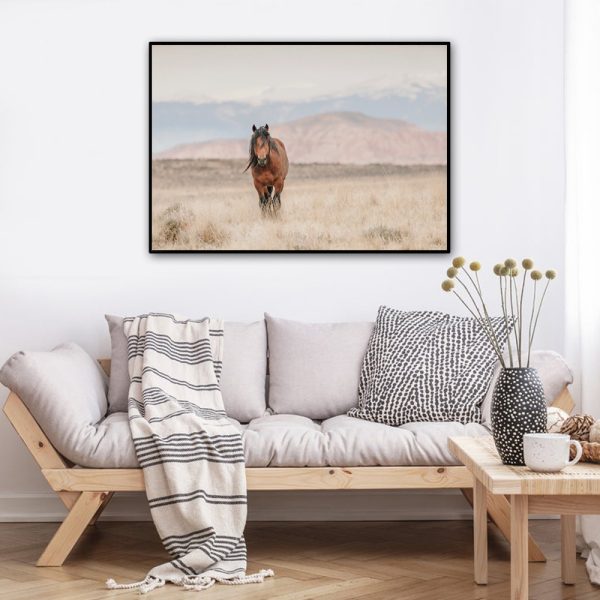 Wall Art - Wild Horse - Canvas Prints-Poster Prints - Image 3