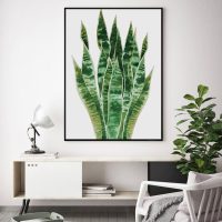 Wall Art - Botanical Succulent - Canvas Prints-Poster Prints - Image 2