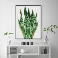 Wall Art - Botanical Succulent - Canvas Prints-Poster Prints