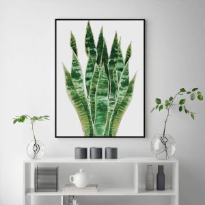 Wall Art - Botanical Succulent - Canvas Prints-Poster Prints